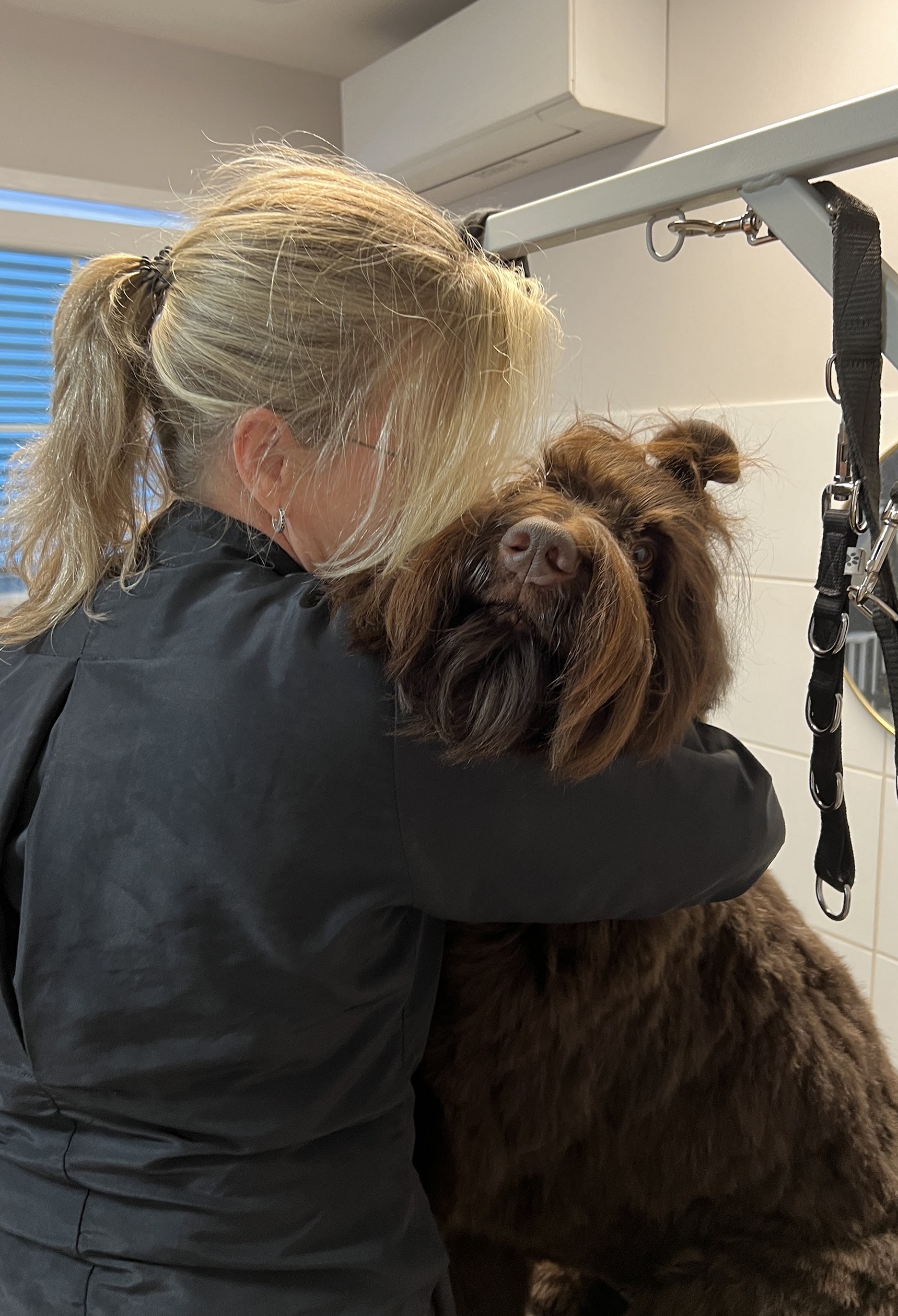 Trimster in zwarte salonjas knuffelt een bruine labradoodle in de salon